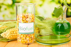 Catherine Slack biofuel availability